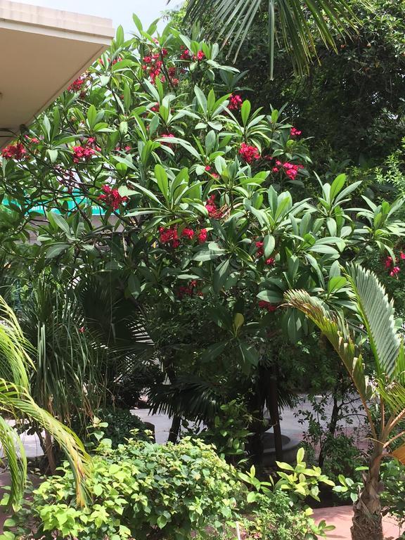 Barwara Kothi Hotel Jaipur Eksteriør billede